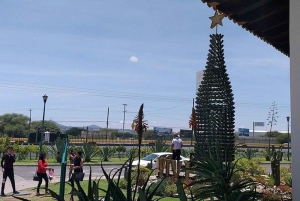 Ciudad de México: tour privado de quesos y vinos a Querétaro