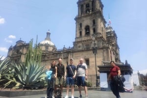 Mexico City: Private City Tour of Identity, History, and Traditions