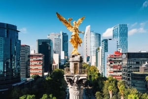 Mexico City: Private custom tour with a local guide