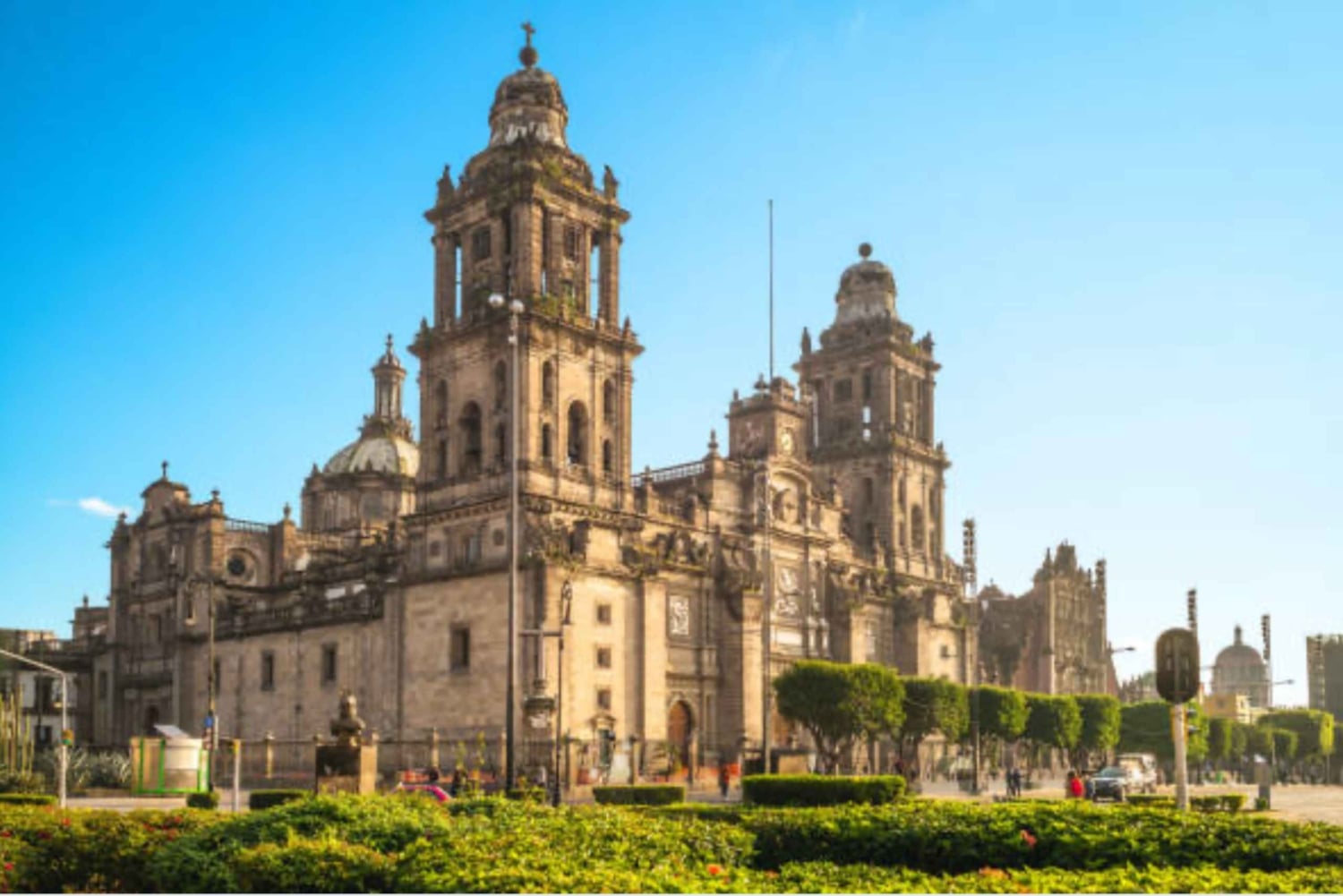 Mexico City: Private Family-Friendly Walking Tour