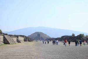 Mexico City: Private Teotihuacan Archeological Tour