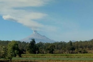 Mexico City: Private Tour of Puebla and Cholula