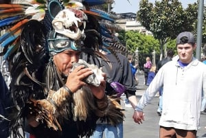 Ciudad de México: Tour privado con guía local Murales, Historia y Tacos