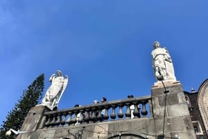 Mexico City. Private tour with transport to the Basilica of Guadalupe