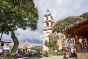 Ciudad de México: excursión privada de 1 día a Valle de Bravo