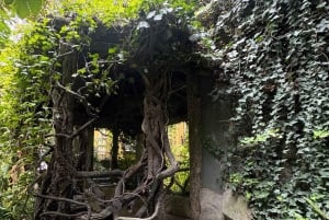 Mexico City: Roma and Condesa Neighborhoods Walking Tour