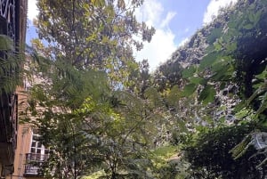 Mexico City: Roma and Condesa Neighborhoods Walking Tour