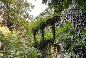 Mexico City: Roma and Condesa Neighborhoods Walking Tour