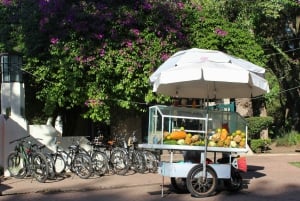 Mexico City: Roma and Condesa street food and biking tour
