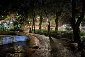 Ciudad de México: tour de tacos por Roma, Condesa y Juárez