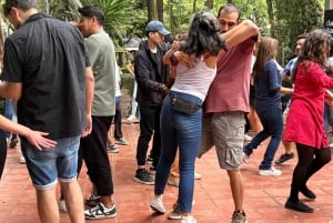 Mexico City: Salsa Dance Class with a Local