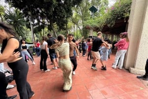 Mexico City: Salsa Dance Class with a Local