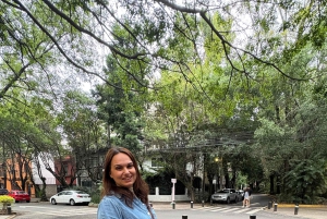 Mexico City: Salsa Dance Class with a Local