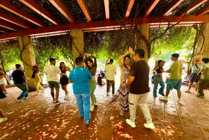 Mexico City: Salsa Dance Class with a Local
