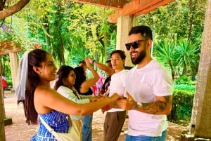 Mexico City: Salsa Dance Class with a Local