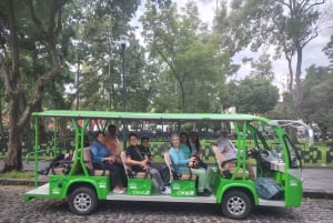 Mexico City: San Ángel Experience with Electric Ecobus