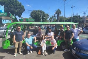 Mexico City: San Ángel Experience with Electric Ecobus