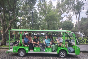 Mexico City: San Ángel Experience with Electric Ecobus