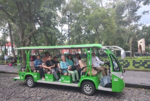Mexico City: San Ángel Experience with Electric Ecobus