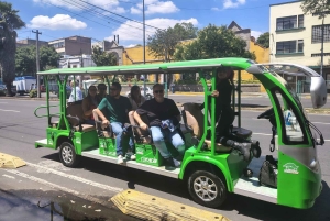 Mexico City: San Ángel Experience with Electric Ecobus