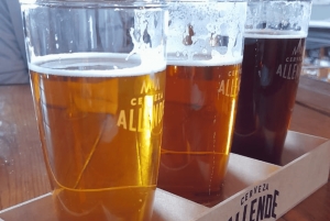 Ciudad de México: San Ángel Magical Mexican Food Tour