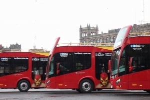 Mexico City: Six Flags Ticket + Hop-on Hop-off City Tour