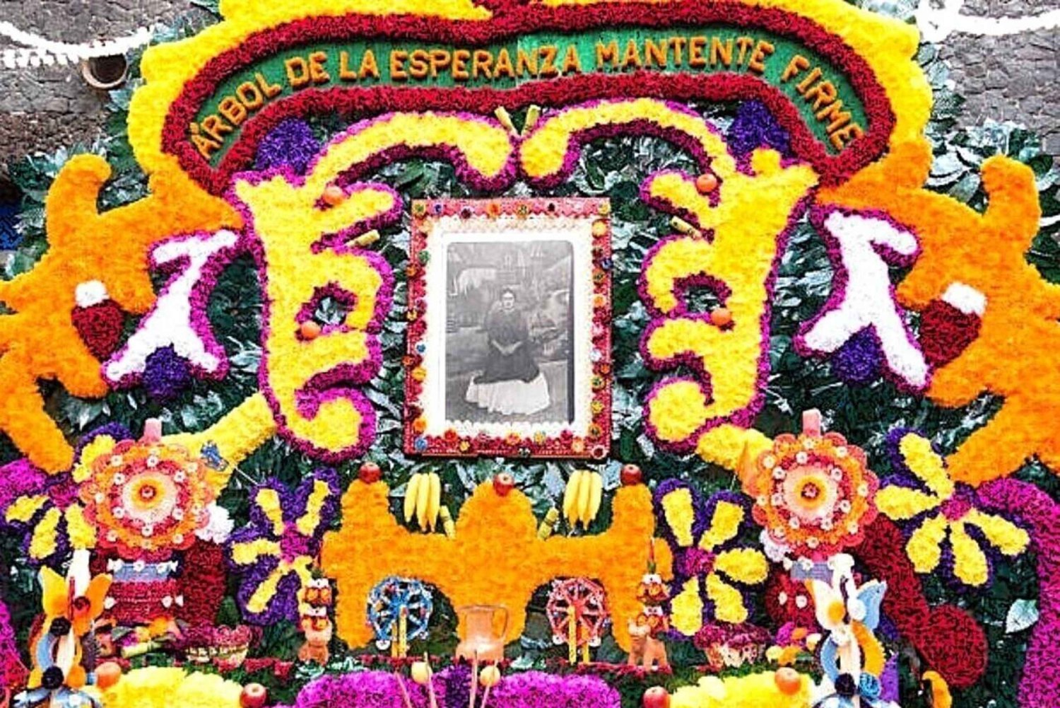 Check out the Frida Kahlo Museum with a Digital Guide