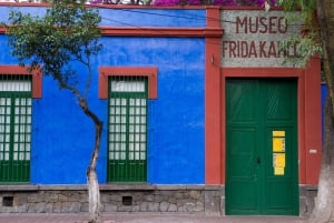 Ciudad de México: Ticket de entrada sin colas al Museo Frida Kahlo
