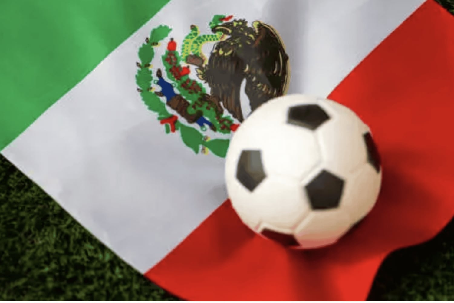 Tour por el estadio de fútbol y comida callejera en Ciudad de México