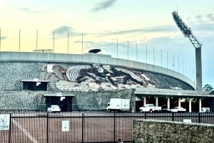 Tour por el estadio de fútbol y comida callejera en Ciudad de México