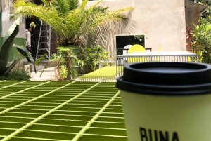 CDMX: Tour de Café de Especialidad con Degustaciones