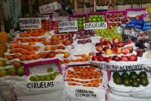 Mexico City: Frida Kahlo Museum & Coyoacan Tacos & Food Tour