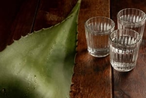 Ciudad de México: Tour de Tacos y Mezcal