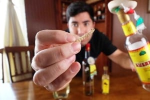 Mexico City: Taquerias and Tequila Tasting Tour with Chef