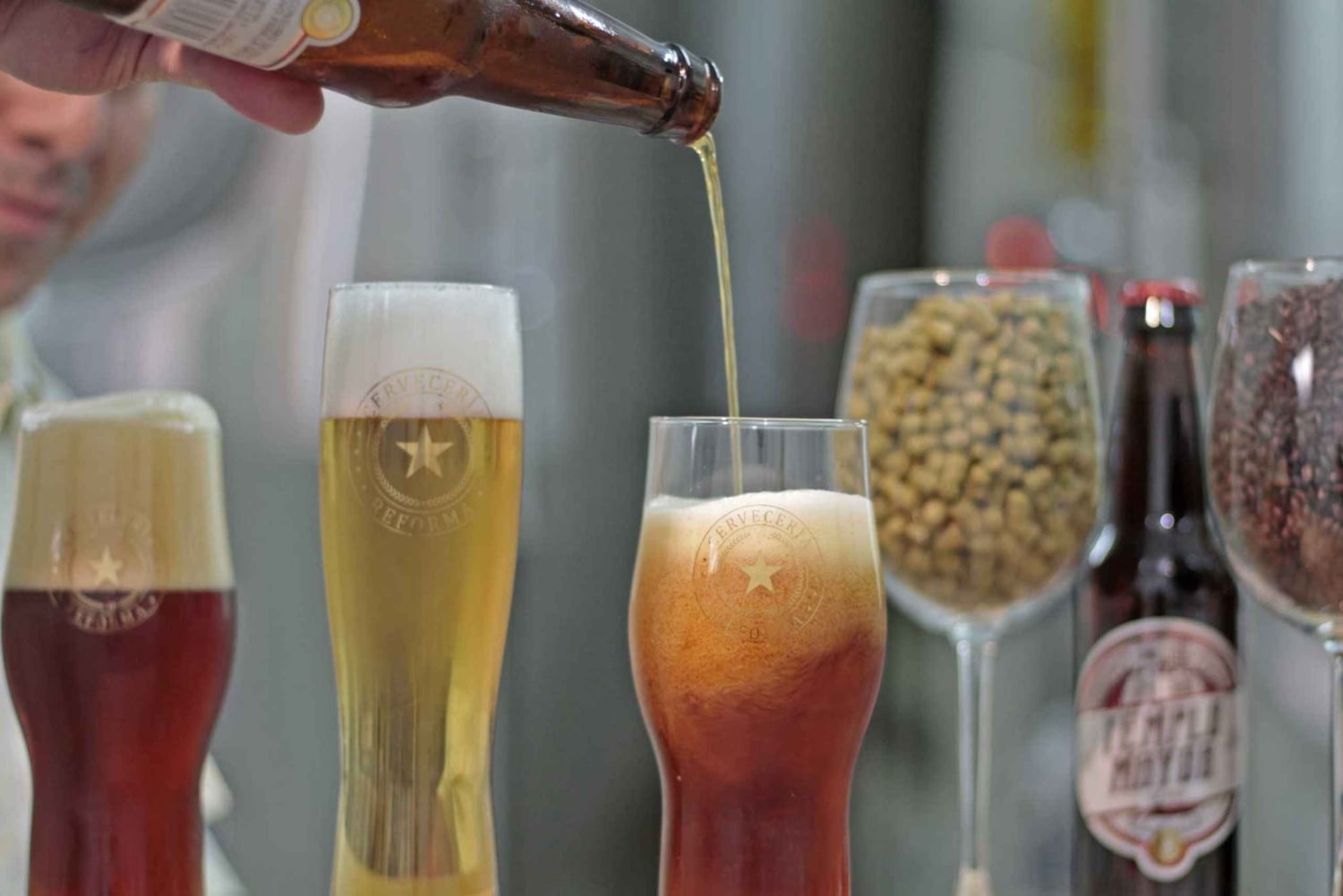 Tour de degustación por Ciudad de México y experiencia de cerveza artesanal