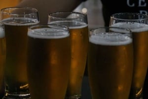 Mexico City Tasting Tour and Craft Beer Experience