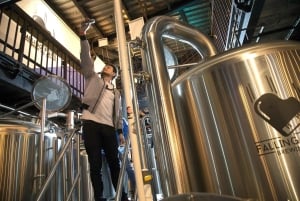 Tour de degustación por Ciudad de México y experiencia de cerveza artesanal