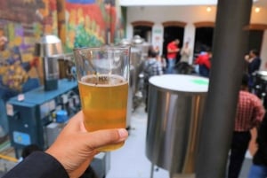 Tour de degustación por Ciudad de México y experiencia de cerveza artesanal
