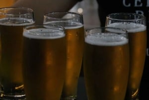 Tour de degustación por Ciudad de México y experiencia de cerveza artesanal