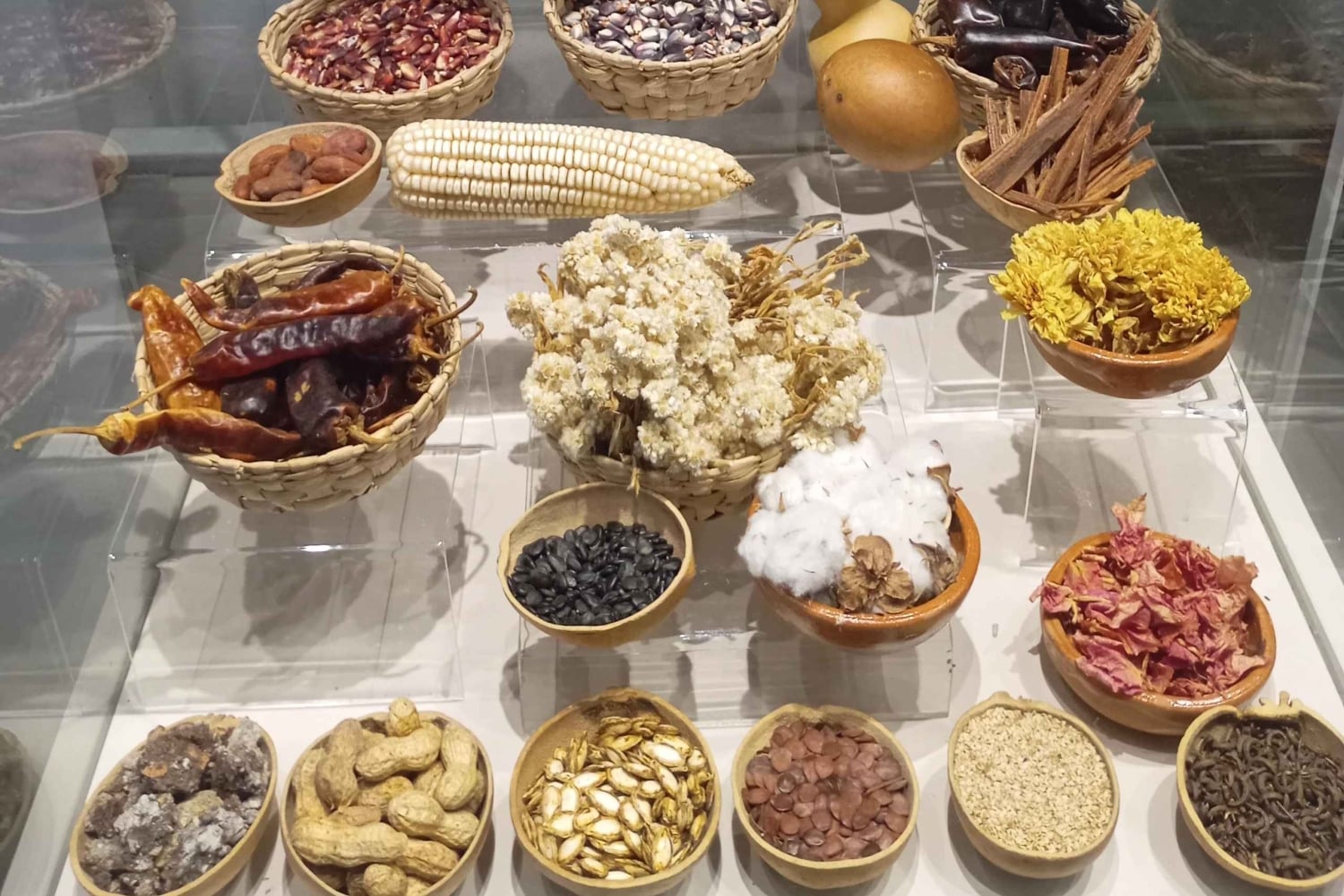 Ciudad de México: Tour por Taxco, Cuernavaca y los criptojudíos