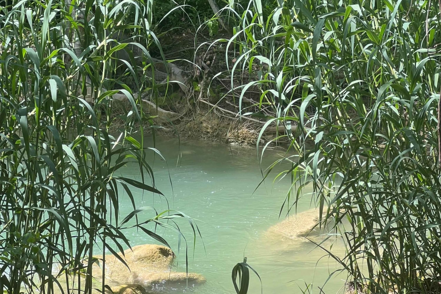 Mexico City: Taxco Mil cascadas - Parque acuático natural