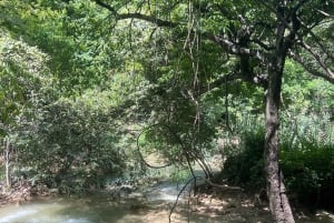 Ciudad de México: Taxco Mil cascadas - Parque acuático natural