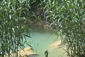 Mexico City: Taxco Mil cascadas - Parque acuático natural