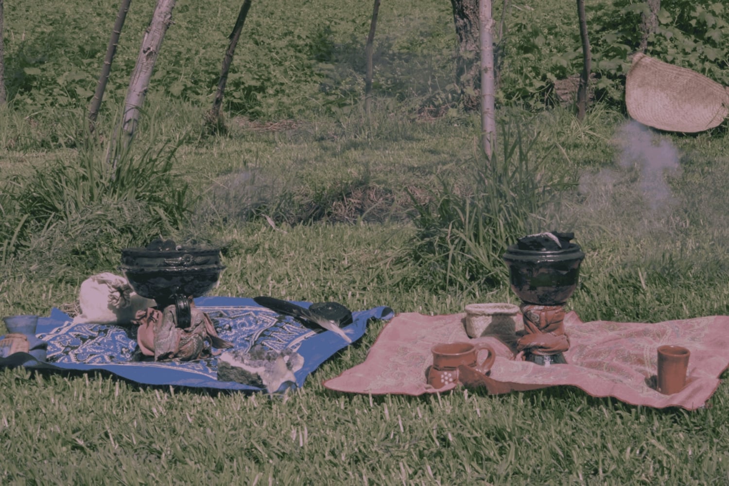 Mexico City: Temazcal Ceremony and Rapé Ceremony