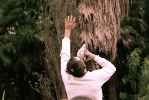 Mexico City: Temazcal Ceremony and Rapé Ceremony