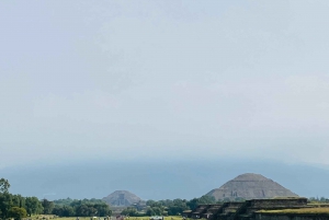 Desde CDMX: Excursión de un día a Teotihuacán, Basílica de Guadalupe