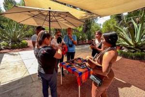 Mexico City: Teotihuacan & Basilica of Guadalupe with Lunch