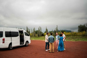 Mexico City: Teotihuacan, Brunch, and Xochimilco Tour