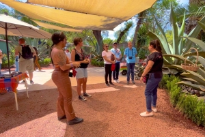 Mexico City: Teotihuacan Early Access & Tula Private Tour