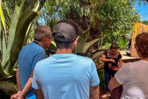 Mexico City: Teotihuacan Early Access & Tula Private Tour